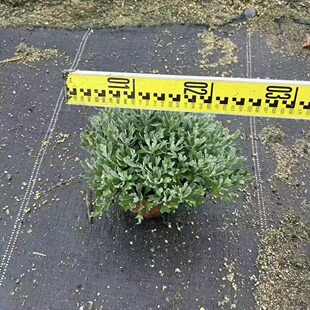 ���ع���������ܽ�ؾ������҃���ֲ���^�p���G�����ز��^�~ֲ��