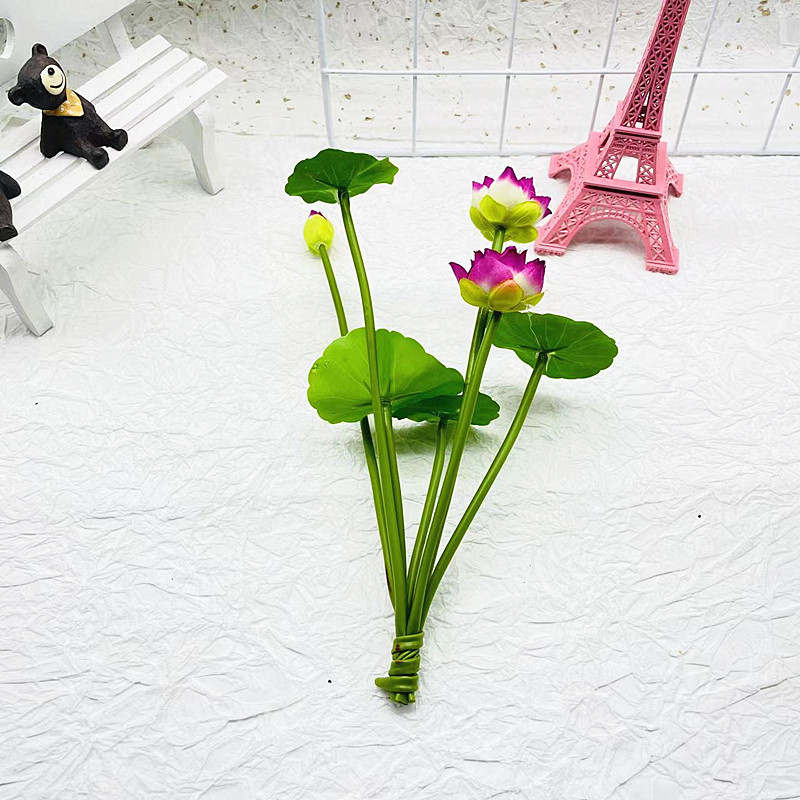 微信图片_20230628194619_副本