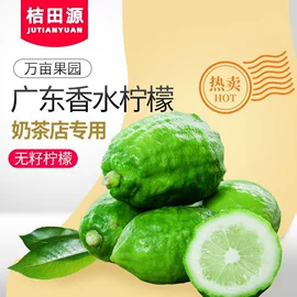 果蔬汁;柠檬;乌龙茶