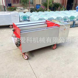 陕西宝鸡鲜核桃清洗脱皮一体机去青皮机纸皮核桃剥皮机果壳分离