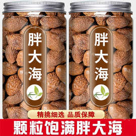 正品野生胖大海中药材官方旗舰店散装特级胖大海罗汉果泡茶泡水喝