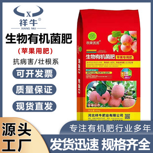 �ӱ��ЙC��  �S�����ѠI�B�� �O�����ЙC���������ЙC�� ��S�w��