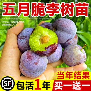 �������Ә���޽��ش�����Ó��������ӹ������ϱ����N���A�����