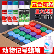 �i��ӛ̖�P�F��ӛ̖Ϟ�P��ɫ�F�Ä����ӛ�P�i�����P���ߘ�ӛ���P