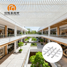 kbXAluminum Suspended Grid ̈tԺľyX