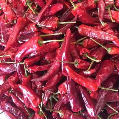 福建辣椒王500g古田特产卤精武黑鸭提味专用特辣干辣椒王正品包邮|ru