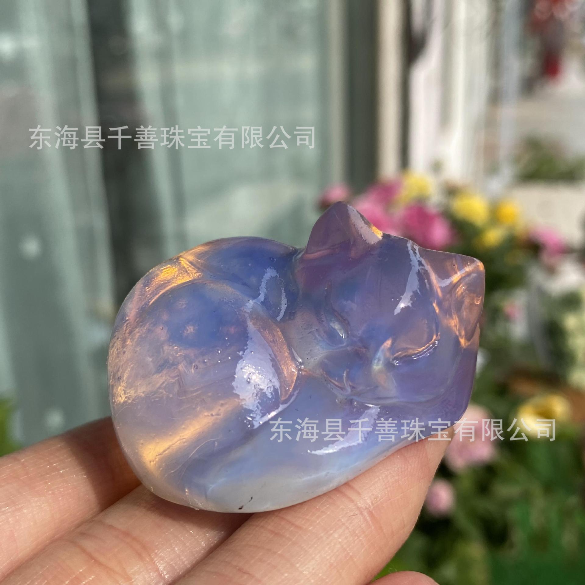 분말 단백질 약 4.5cm