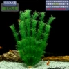 【53cm high】Thick cress