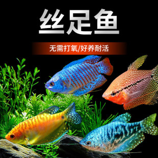 �S�{�����Ꭷ�z���~С���^�p���B�ͻ�������������R���~��ˮ���w