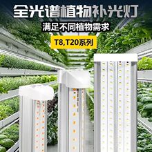 T8T20ȫ���Vֲ���a���������ɫ��ͽ�L����ˮ���߲˷NֲLED���L��
