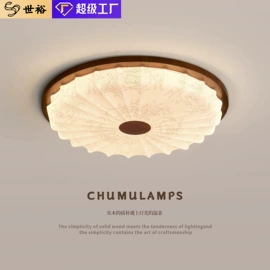 吸顶灯;吊灯;风扇灯