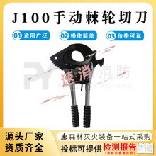 ʩJ100݆еքӌ~оzbД߿|ྀ