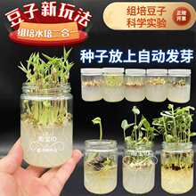 �����M��ƿ�ӎ����|�ɴ�ѿ�����߲˶��ӷN�ӿƌW���ˮ���^���ϵ