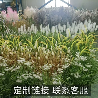 芦苇狗尾草蕾丝花韭菜花仿真园艺办公室客厅绿植装饰造景狗尾草