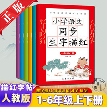 字帖 描红字帖 人教版同步字帖小学生字帖 儿童 组词造句生字字帖