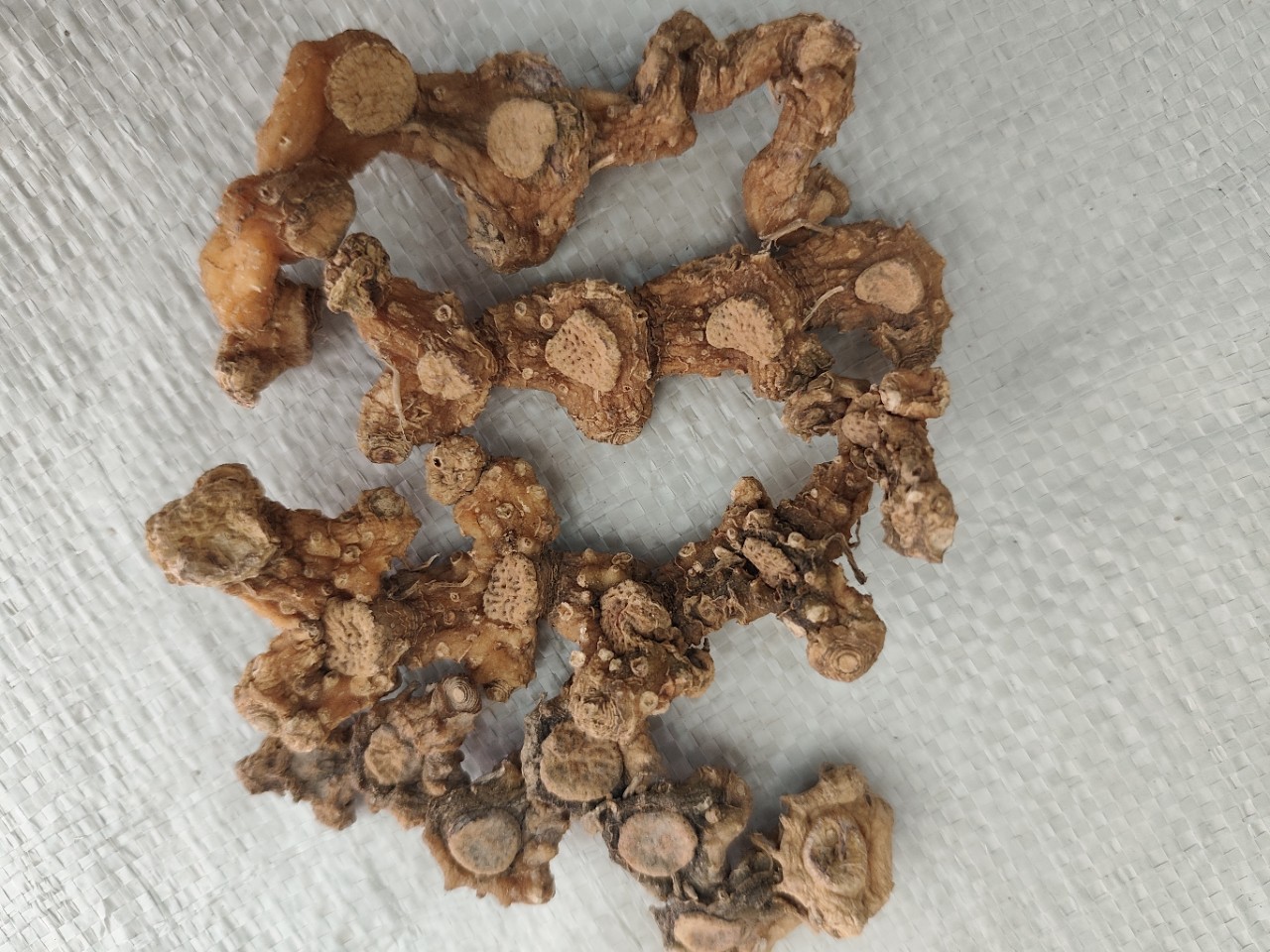 Dried Huangjing Polygonatum Root 500g Guizhou Mountain Herb for Wine Infusion and Cooking in use