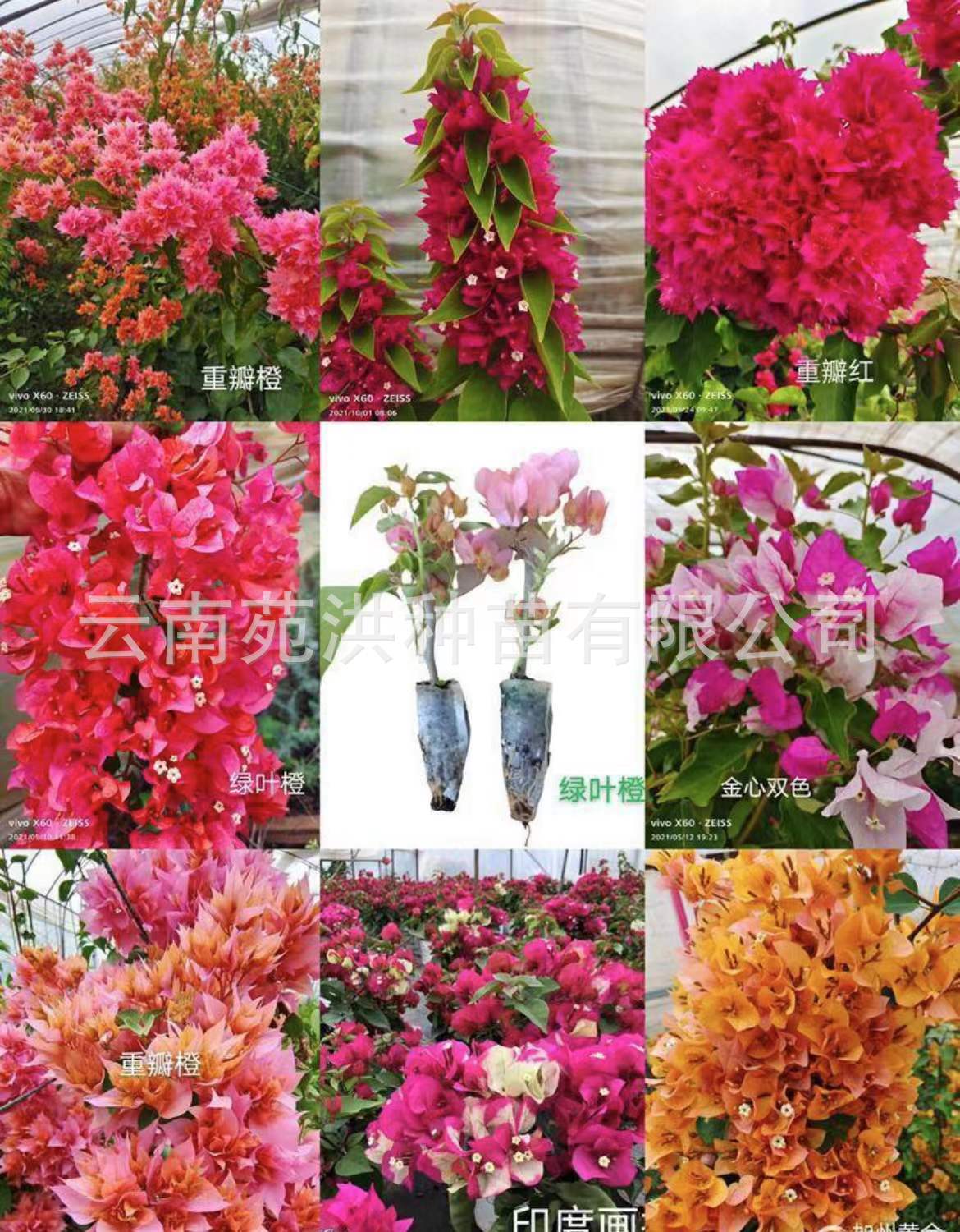 422c661af472896a6c59ef5466fcbf