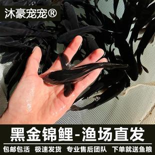 �����ɫ���P�\���\�a��ڲݽ�С���~���B�ͻ���ˮ�^�p�~���ֵ�ˮ