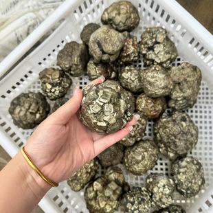 ���F�V�����Y�ˠ��S�F�V�S�����l�羳ֱ��ԭ��ʯ��̔[��