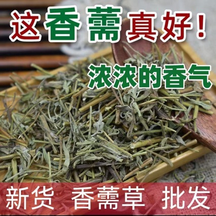 香薷茶批发香薷草包邮香茹草泡水磨香薷粉中草药佩兰茶
