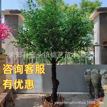 仿真榕树仿真大型植物装饰大厅实木树仿真绿榕树植物室内花假树