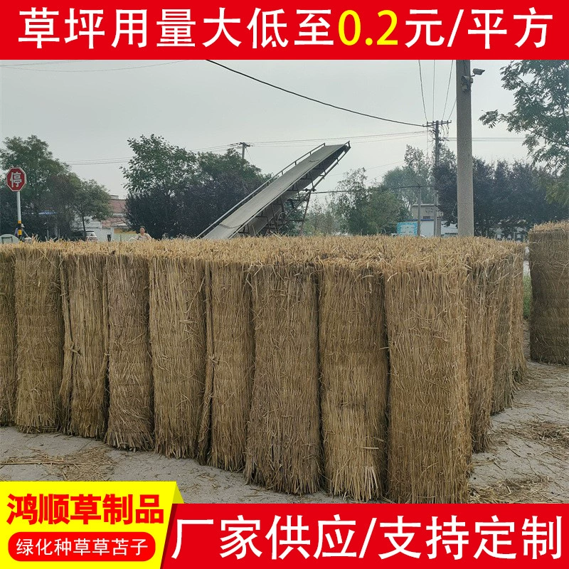 Овощи для хранения и сохранения тепла