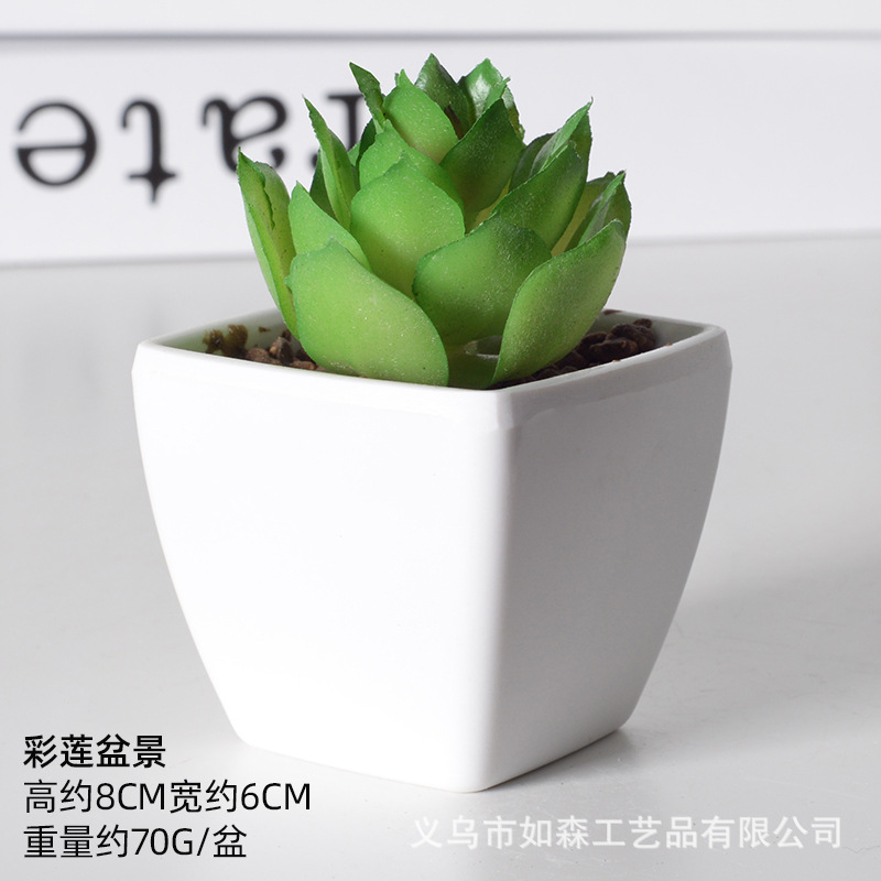 Simulación de plástico carnoso bonsai flor falsa combinación oficina interior escritorio plantas verdes pequeños adornos plantas artificiales al por mayor image 8