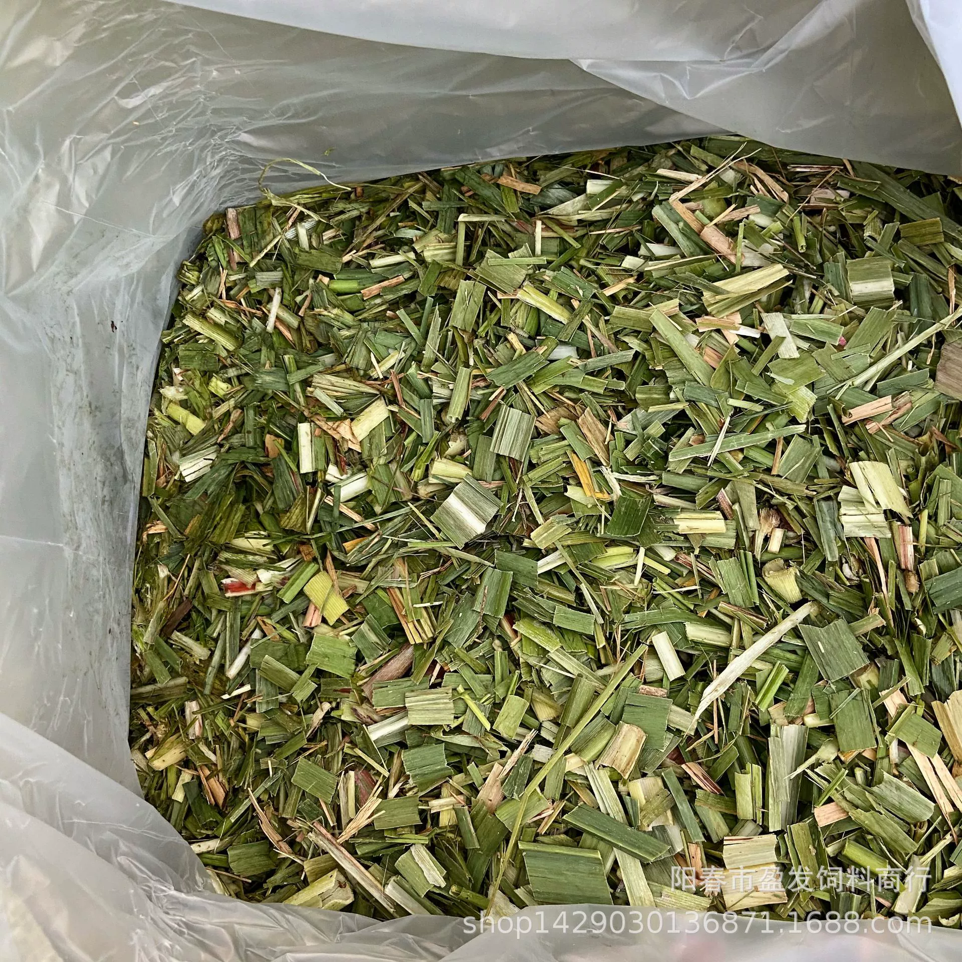 Силосный тростниковый хвост силосный корм для скота Корм для крупного рогатого скота Корм для сахарного тростника листья Гуанси Корм для корма