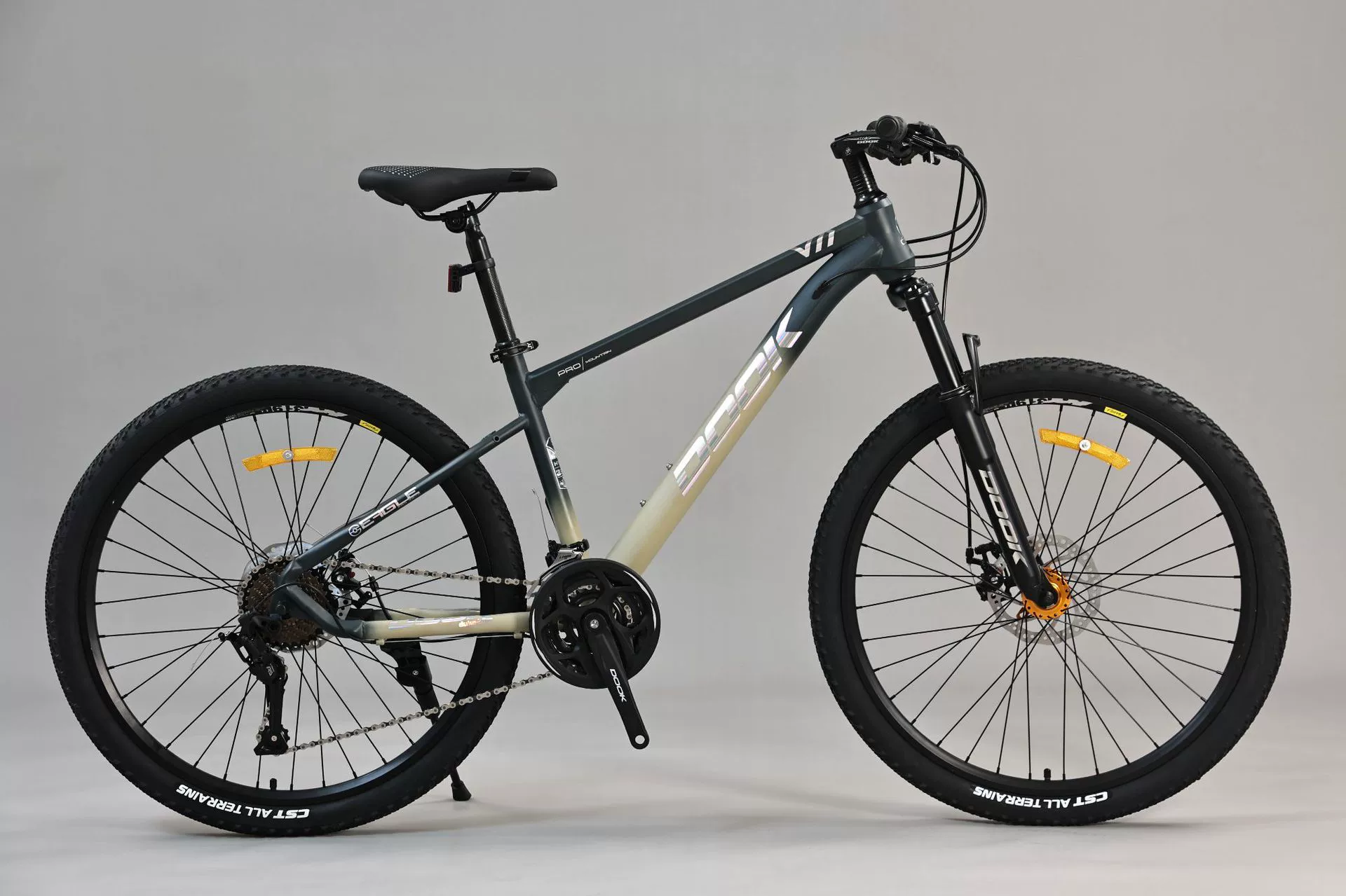 Mountain mountain bike