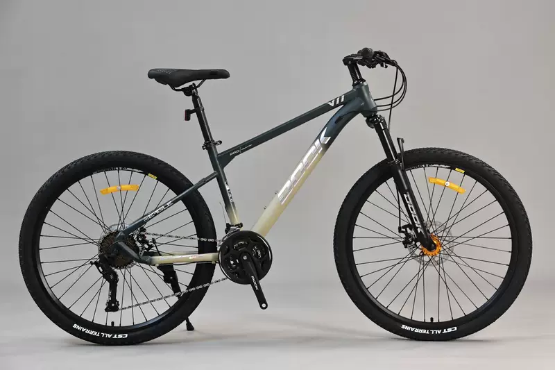 Mountain mountain bike