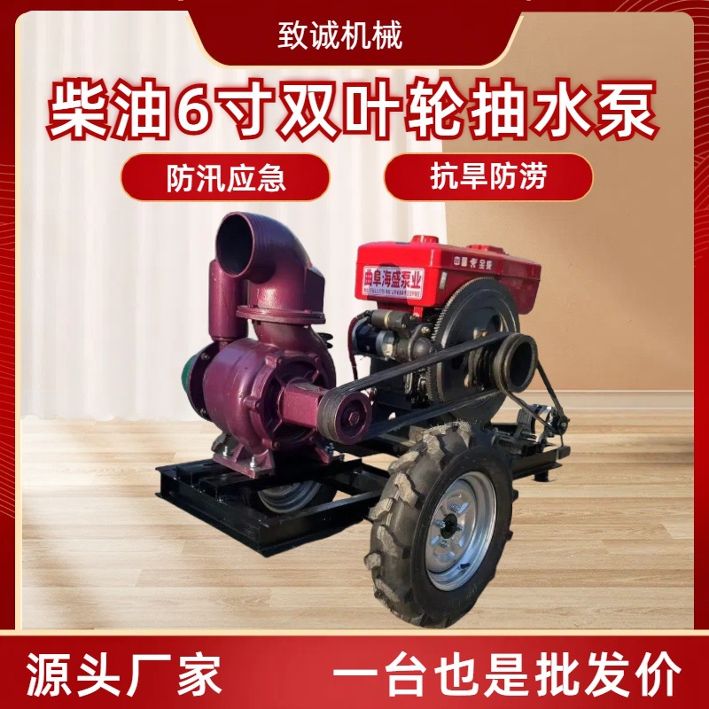 水产养殖抽水泵 大面积池塘倒水柴油机拖车款移动水泵
