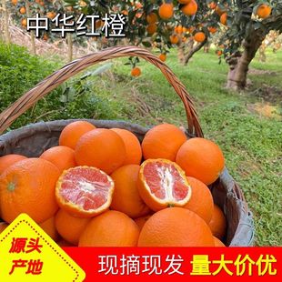 ���A�tѪ�����w�a�جFժ�t��Ě�����r��֭���Ӽt��ˮ�����l�����