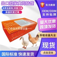 大号鸡用周转筐家用养殖鸡鸭鹅兔子加厚加强周转箱97厘米运输鸡笼