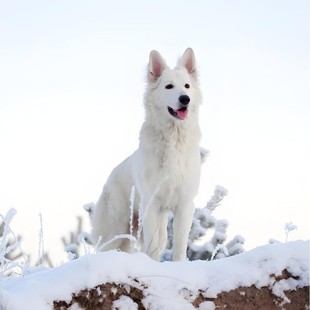 ���l��ʿ����Ȯ������w������ɫ�����o�lȮ�Ѿ�Ȯ����Ȯ����Ȯ