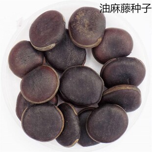 ɢ�b�����ٷN�ӳ����������Ԯֲ���N��ţ�R�ٴ�Ѫ��ȸ�������G