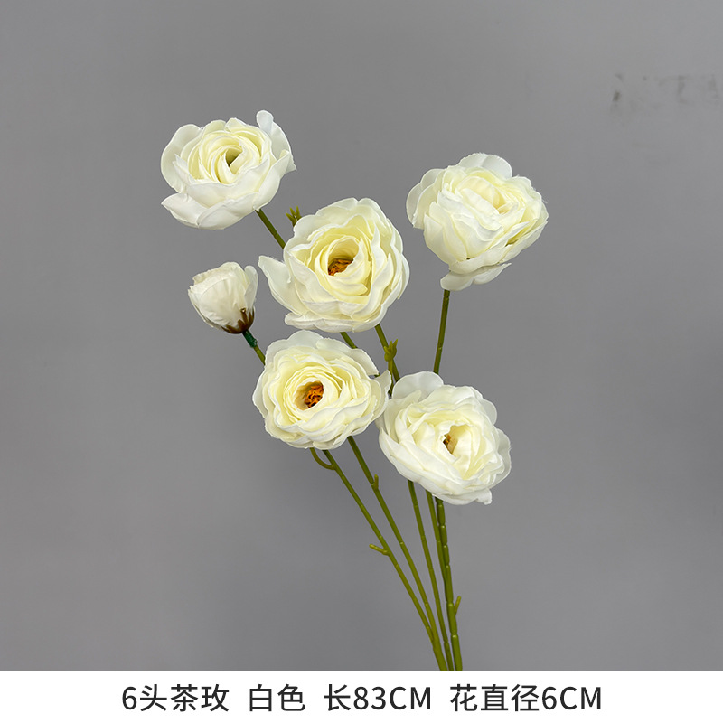 6 tea roses white