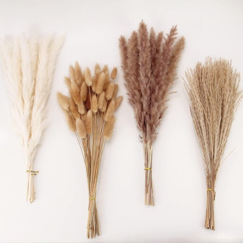 Small Reed Dried Flower Bouquet Rabbit Tail Grass Pampas Grass Bouquet Bohemian Dried Flower Bouquet Manufacturer Wholesale