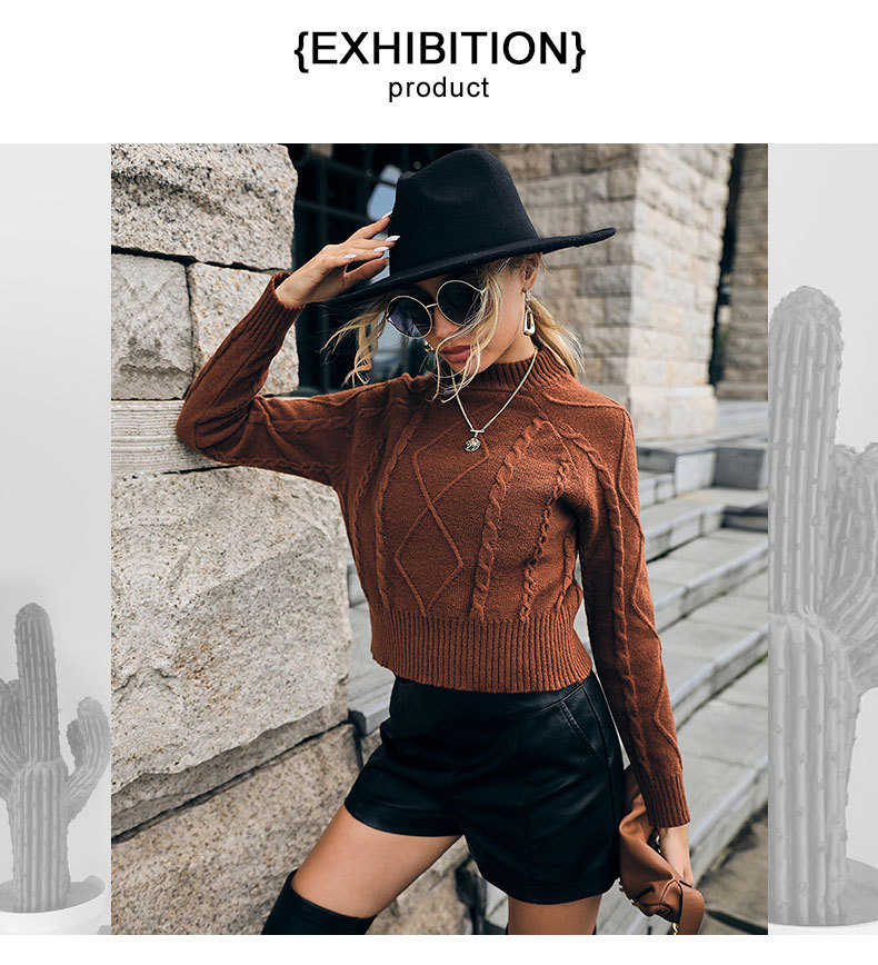 Einfarbiger, kurzer Strick-Twist-Pullover mit Rundhalsausschnitt_voghion.com