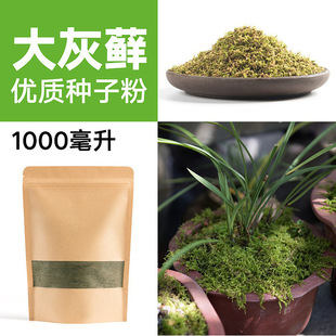 ̦�\�N�ӷ�ĩ��ˮʯ��ɽ��ˮʯ�辰�r����̦�N��̦�\���ӷ�ֲ��