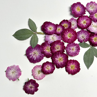 Сõ�廨���� �滨Ѻ�����S���l ���z�朶����ɻ� �֙C��diy����