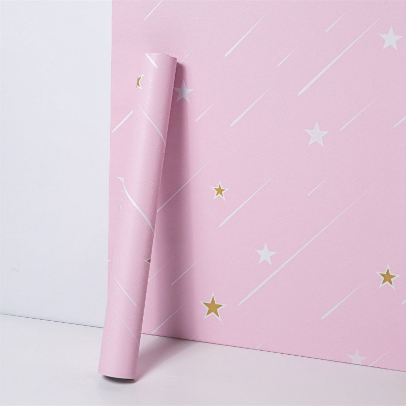 【2023년 핫 세일】핑크 유성.★★