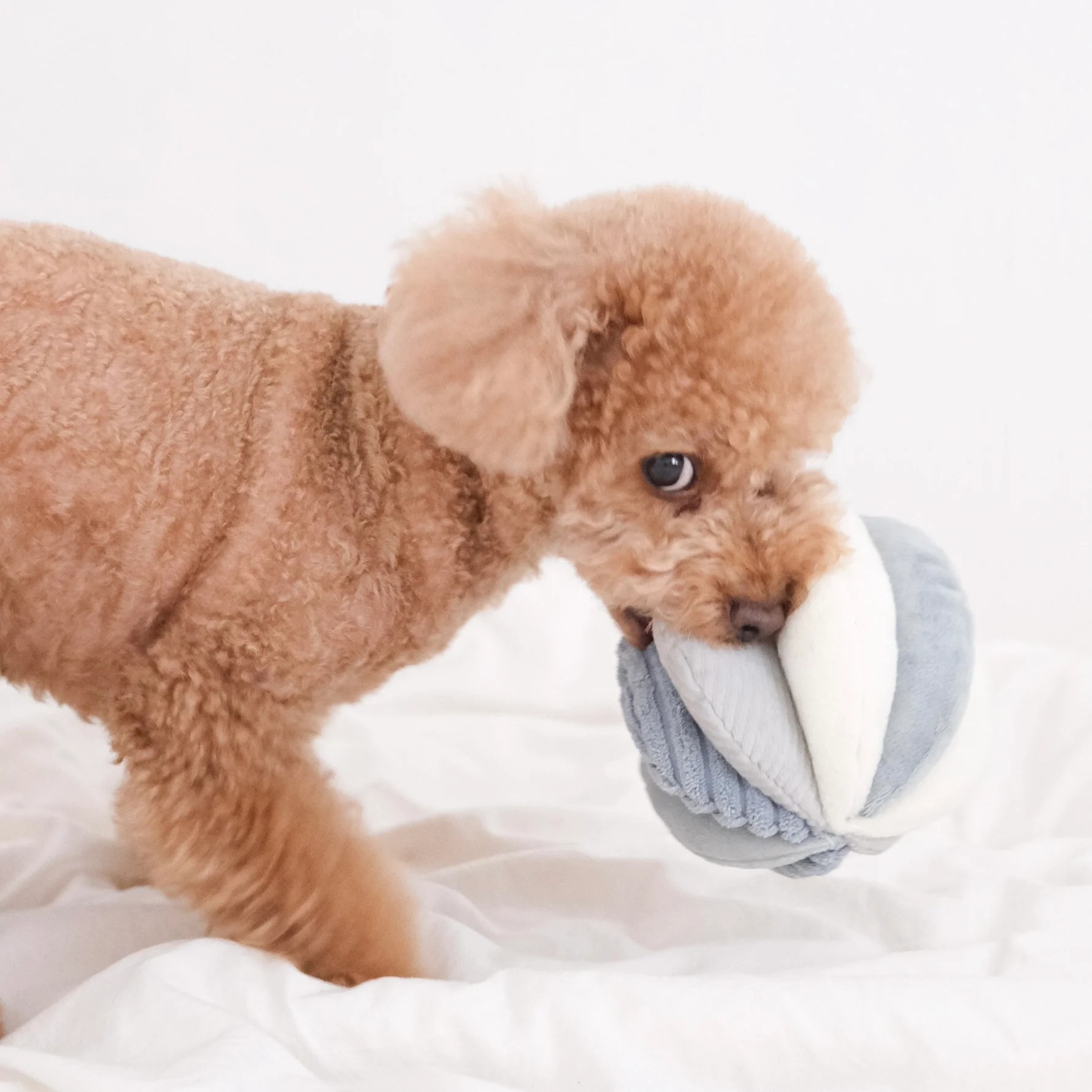 Nuevos productos transfronterizos TOTO chirriantes bolas de respiración de nariz mascotas perros mordidas para aliviar el aburrimiento tibetano juguetes de peluche al por mayor