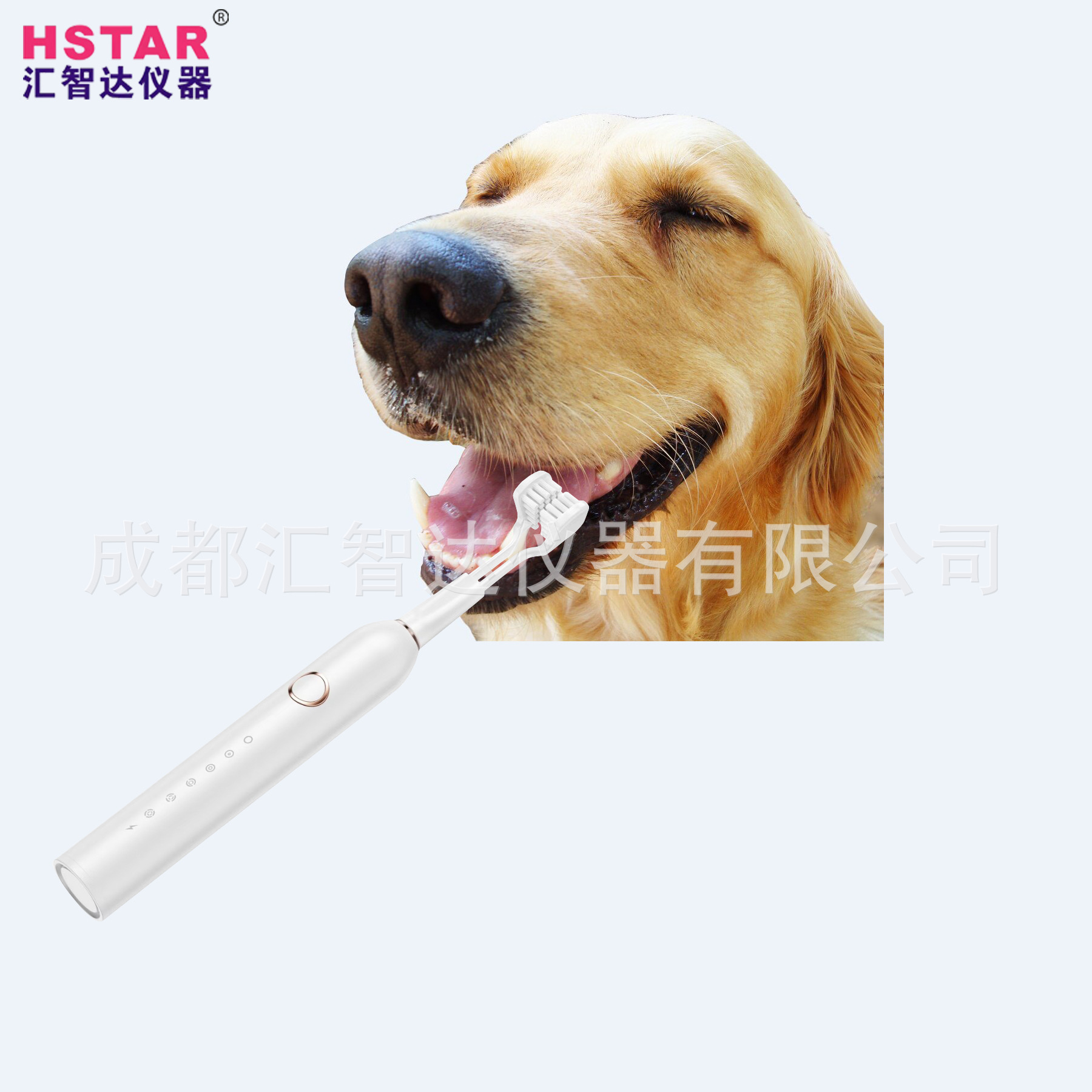 宠物电动牙刷-应用