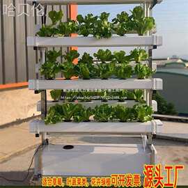 阳台NFT架种植蔬菜种菜草莓双面无土栽培水耕机设备垂直多层水培