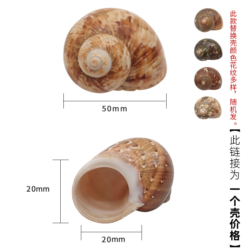4-5cm 게에 적합한 x13 유화 패턴 달팽이