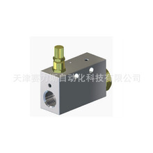 SFS��ŷ�21A5KV45-UDA12024CS ��ȫ��ZH-A