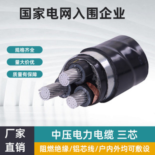 ���̾��|YJLV22��о�Љ������|�~��늉���8.7/15KV���X��