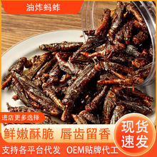 蚂蚱开袋即食油炸香酥辣蚱蜢食用带籽蝗虫大个零食蚂蚱批发