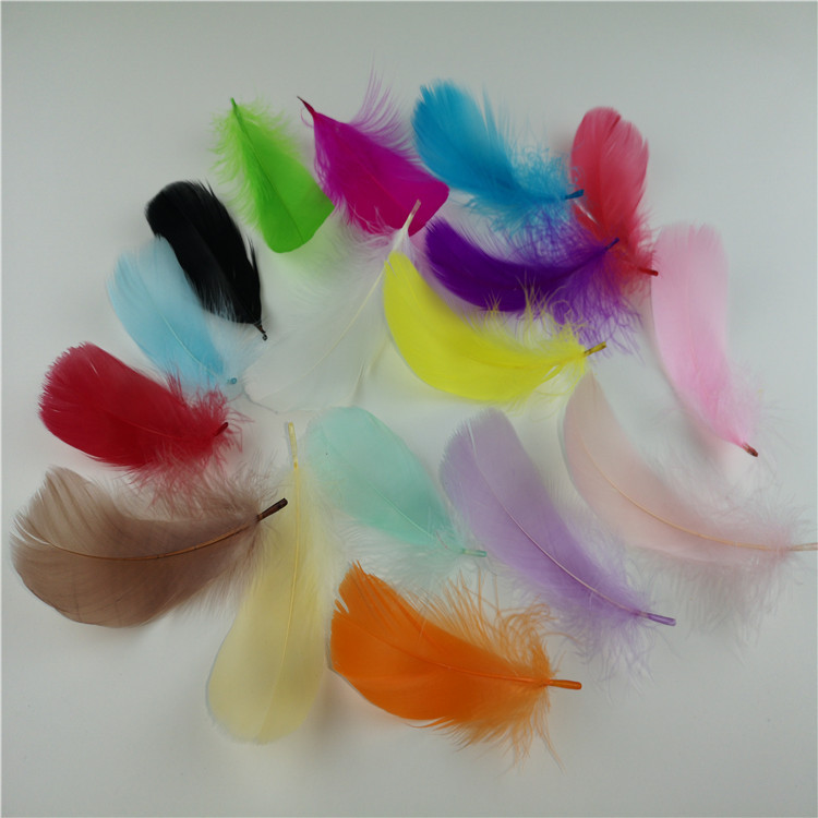 10732065369_90773847