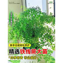 �F��ާ����ާGֲ����Ͱ���ާ��ʿ�D�k���҃ȿ͏dˮ����B�ļ�